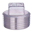 304 & 316 Stainless Steel, Square Head Plug, Threaded, 1/4 in. to 2 in. Sizes