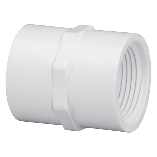 Lasco PVC Schedule 40 White Coupling Threaded 1/2 in. to 2 in. Sizes