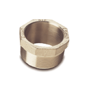 Finish Thompson Drum Pump 2 in. 316 Stainless Steel Drum Adapters