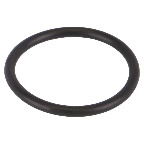 3/4 in. Line Strainer EPDM Gasket