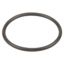 3/4 and 1 in. Poly T Strainer EPDM Gasket