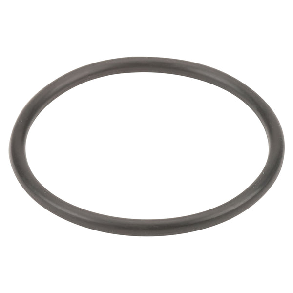 3/4 and 1 in. Poly T Strainer EPDM Gasket