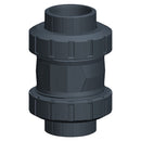 Type 561 PVC Check Valve