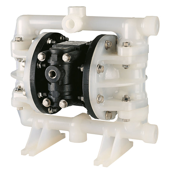 Lutz 1/2 in. Polypropylene Double Diaphragm Pump