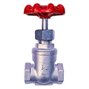 1/2 in. 316SS Threaded Gate Valve