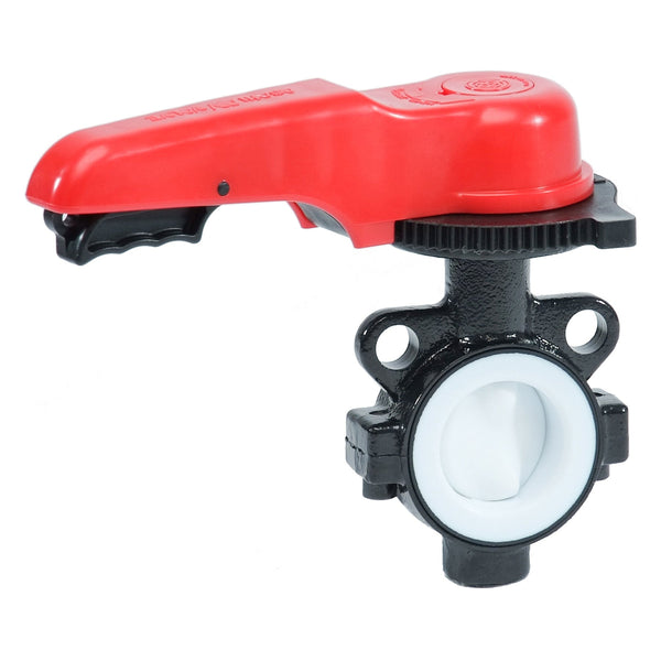 Asahi Type-55 Butterfly Valve 2 to 10 in.