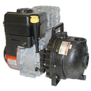 Banjo 2 in. Poly Pump with Gas Engine
