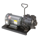 Banjo 222PIE51 2 in. 222 Series Cast Iron Pump with Electric Motor