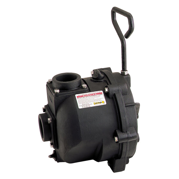 Banjo 222POI 2 in. 222 Series Cast Iron Pump Only