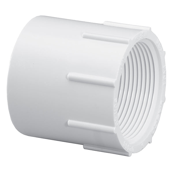 Lasco PVC Schedule 40 White Female Adapter Socket x FPT 1/4 in. to 8 in. Sizes