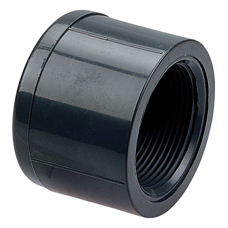 Nibco PVC Schedule 80 Cap Threaded 1/4 in. to 4 in. Sizes